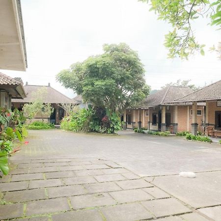 Pelangi Homestay Bedugul RedPartner Bagian luar foto
