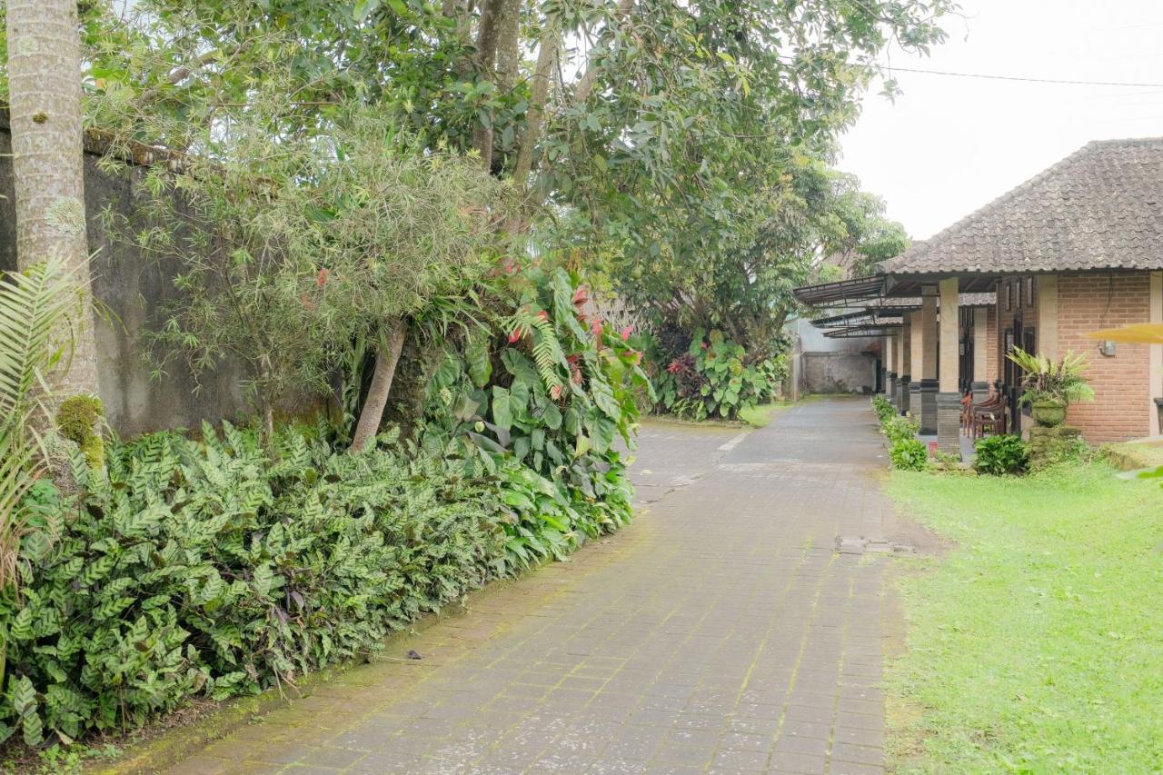 Pelangi Homestay Bedugul RedPartner Bagian luar foto